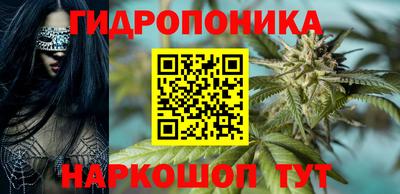 марихуана Кингисепп