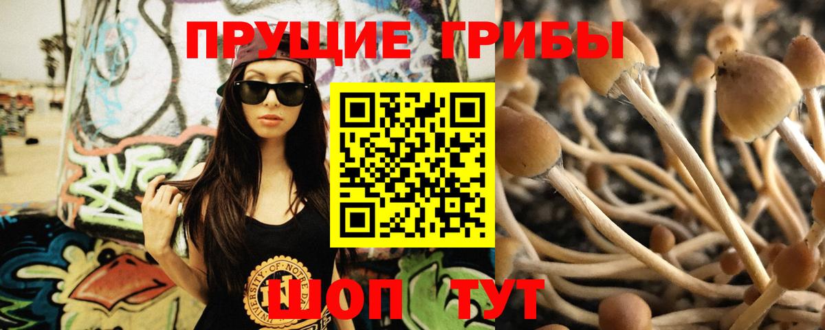 Красноармейск  Псилоцибиновые грибы GOLDEN TEACHER  Вход с VPN 